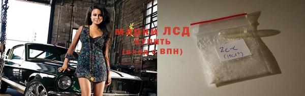 ГАЛЛЮЦИНОГЕННЫЕ ГРИБЫ Кодинск