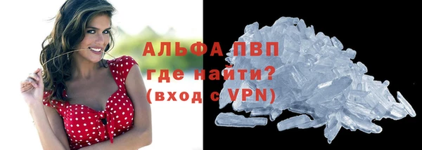 ГАЛЛЮЦИНОГЕННЫЕ ГРИБЫ Кодинск